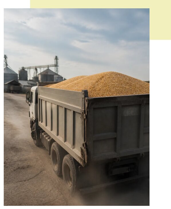 Перевозка сельхозпродукции навалом в Юргу по цене от 3209 р. | Агросервис-Юрг